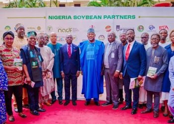 Nigeria Unveils National Soybean Strategy Targeting N3.9 Trillion Revenue and 1 Million Jobs
