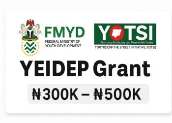 YEIDEP Grant Enters Final Stage: Thousands of Nigerian Youths Set to Receive Up to N500,000