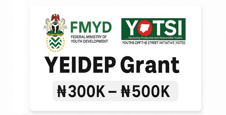 YEIDEP Grant Enters Final Stage: Thousands of Nigerian Youths Set to Receive Up to N500,000