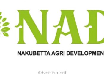 NADI Launches Enumerator Recruitment Drive to Strengthen Agribusiness in Northern Nigeria