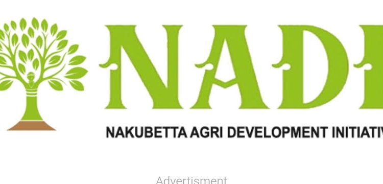 NADI Launches Enumerator Recruitment Drive to Strengthen Agribusiness in Northern Nigeria