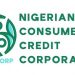 10,000 Market Women Accessing N100,000 Loan from Credicorp-Sytiamo