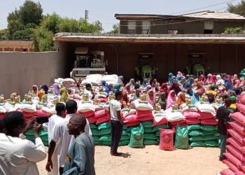 Kano Launches 2025 Wet Season Farm Input Distribution to Support 450,000 Farmers