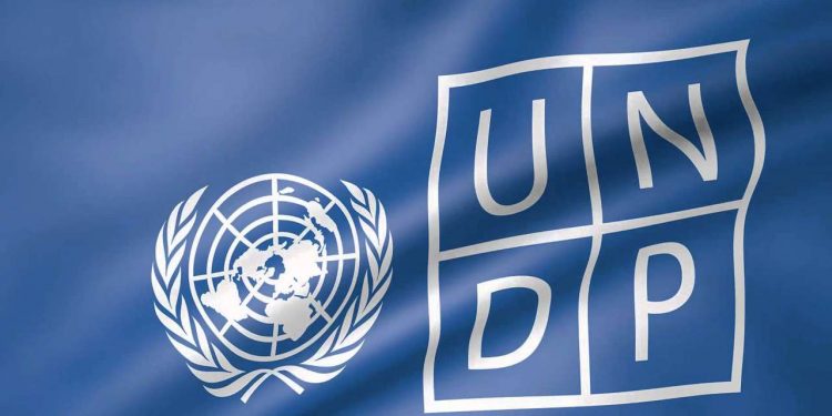 Call For Applications: UNDP Digital Transformation Internship 2025 (Up to $500 Monthly Stipend)