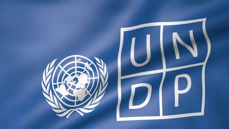 Call For Applications: UNDP Digital Transformation Internship 2025 (Up to $500 Monthly Stipend)
