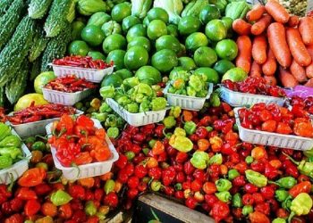 FG Moves to End International Rejection of Nigerian Agricultural Exports to Empower SMEs in Agribusiness