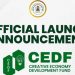 Call For Applications: Federal Government Creative Economy Development Fund (CEDF) for Nigerians (Up to to $100,000 Funding, Job Creation and Business Mentorship)