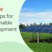 Call For Applications: Google Sustainable Development Program For Startups 2025 (Business Funding, Networking, and Mentorship)