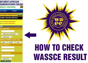 Step-by-Step Guide: How to Check Your 2025 WAEC Result Online