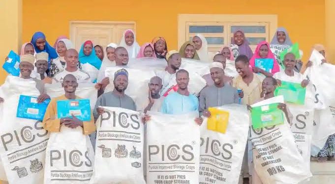 FAO to Train 3,000 Farmers, Distribute 30,000 PICS Bags to Boost Food Security in Nigeria