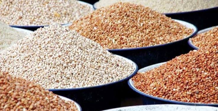 Nigeria Loses $363 Million Annually as EU Ban on Beans Exports Persists Over Pesticide Contamination