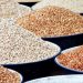 Nigeria Loses $363 Million Annually as EU Ban on Beans Exports Persists Over Pesticide Contamination