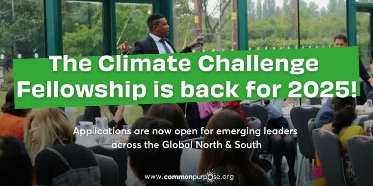 Call for Applications: Africa Finance Corporation (AFC)fellowship 2025 for Young Africans