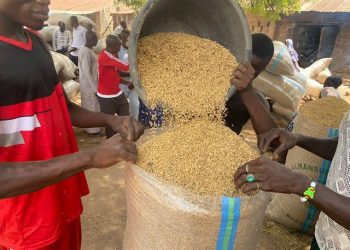 Liberia–Jigawa Rice Partnership to Open Opportunities for MSMEs, Boost Food Security