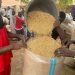 Liberia–Jigawa Rice Partnership to Open Opportunities for MSMEs, Boost Food Security