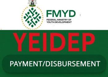 YEIDEP Applicants Receive Wema Bank Account Numbers, Renewing Hopes of Imminent Disbursement