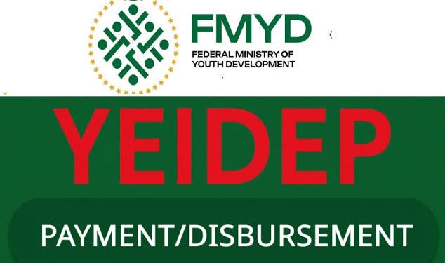 YEIDEP Applicants Receive Wema Bank Account Numbers, Renewing Hopes of Imminent Disbursement