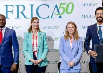 UNDP, REA Partner to Fast-Track Nigeria’s Clean Energy Transition