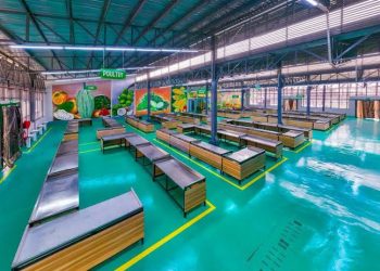 Lagos Set to Open Agro Food Hub in Abijo, Boosting Farmers and Traders