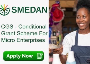 Call For Applications: SMEDAN Conditional Grant Scheme For MSMEs (N50,000 Grant)