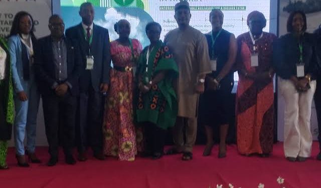 UNDP, ITFA Unveil $50 Million Fund  to Boost  MSMEs, NGOs with International Certification