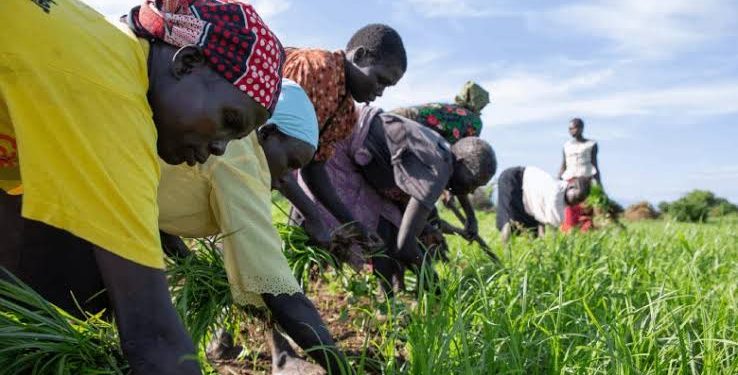 FG to Partner Organisations to Train Farmers on AgriConnect Initiative