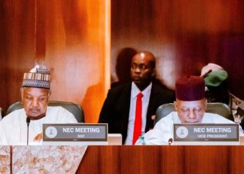 NEC Endorses Renewed Hope Development Plan to Drive $1 Trillion Economy Target