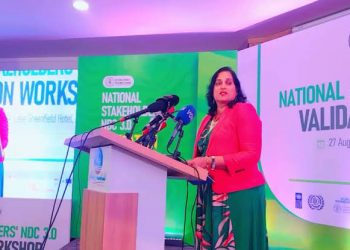 Nigeria Calls for More Climate Finance to Bridge $NDC 3.0 Funding Gap