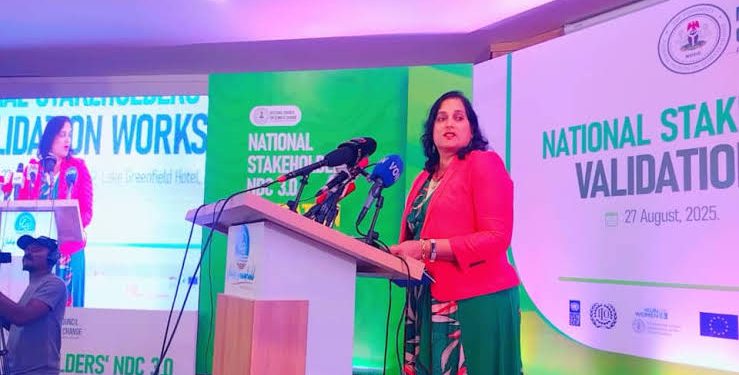 Nigeria Calls for More Climate Finance to Bridge $NDC 3.0 Funding Gap