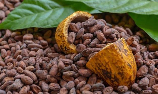 Cocoa Prices Slip as High Costs Threaten Global Chocolate Demand
