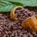 Cocoa Prices Slip as High Costs Threaten Global Chocolate Demand