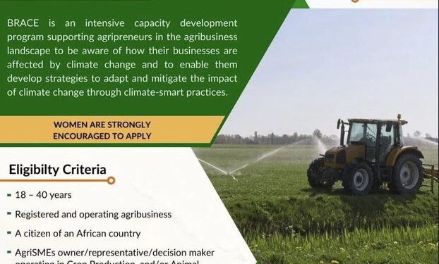 Call For Applications: BRACE Capacity Development Program For African SMEs in Agribusiness Cohort 3