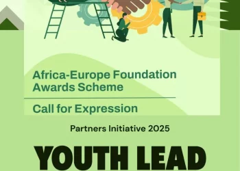 Call For Applications: Africa-Europe Youth Awards Scheme 2025 (Up to €5,000 Grant, €10,000 Special Visibility Award, Capacity-Building, and Mentorship)