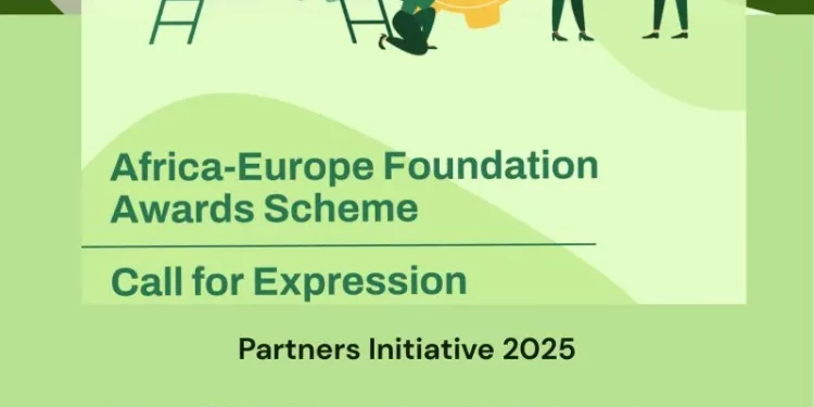 Call For Applications: Africa-Europe Youth Awards Scheme 2025 (Up to €5,000 Grant, €10,000 Special Visibility Award, Capacity-Building, and Mentorship)