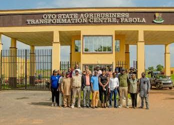 FG, AfDB to Launch Oyo Agro-Industrial Zone as Nigeria Deepens Push for Agricultural Industrialisation