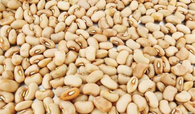Firm Distributes Hybrid Cowpea Seeds to Women Farmers in Nasarawa