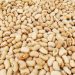 Firm Distributes Hybrid Cowpea Seeds to Women Farmers in Nasarawa