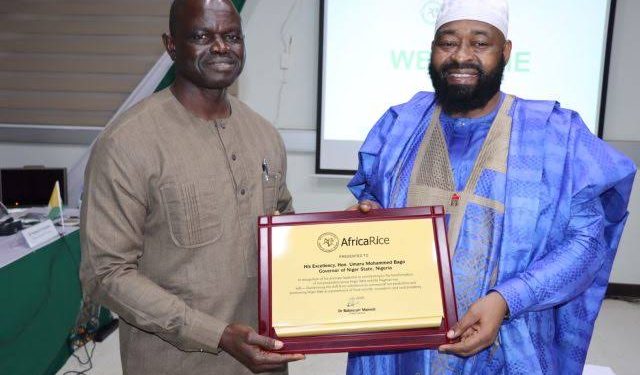 Niger State Partners with AfricaRice to Boost Rice Production to 10 Million Tons by 2030