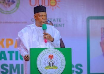 Nigerian Govt Orders Cultivation of 100 Million Oil Palm Trees, Revives Cocoa Industry