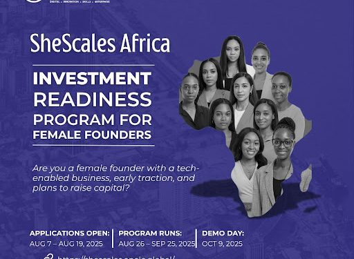 Call For Applications: SheScales Africa — Investment Readiness Program For Female Entrepreneurs