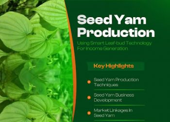 Call For Applications: IITA Youth in Agribusiness Training