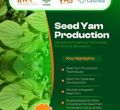 Call For Applications: IITA Youth in Agribusiness Training