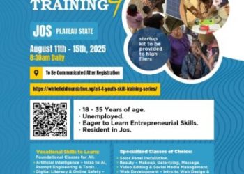 Call  for Applications: Free Vocational Training by Alliance for Nigerian Youths 2025