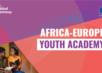 Call For Applications: Africa Europe Youth Academy (AEYA) Grants (Up to €40,000)