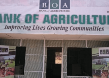 Afreximbank, BOA Sign $1 Billion Deal to Support Nigerian Smallholder Farmers