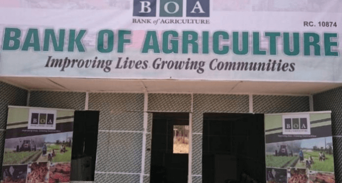 Afreximbank, BOA Sign $1 Billion Deal to Support Nigerian Smallholder Farmers