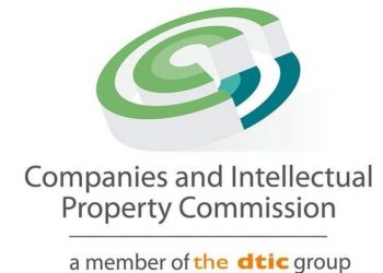 Call For Applications: MTN-WWF Africa PachiPanda Challenge 2025 for youth-led SMEs (Up to 5,000 USD prize)