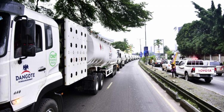 Dangote Rolls Out 1,000 CNG Trucks, Unveils Job-Creating Initiative for 24,000 Nigerians