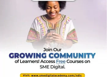Call For Applications: SMEDAN/ NDIC MSME Digital Academy For African Entrepreneurs