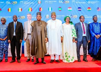 Nigerian Govt Unveils New Incentives to Drive Agricultural Investment, Create Rural Jobs